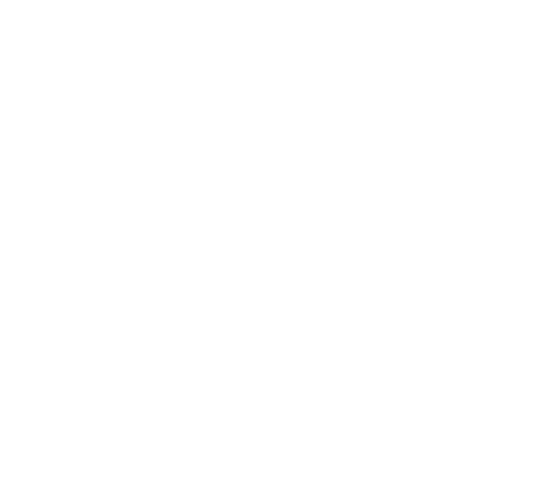 Wildcubz